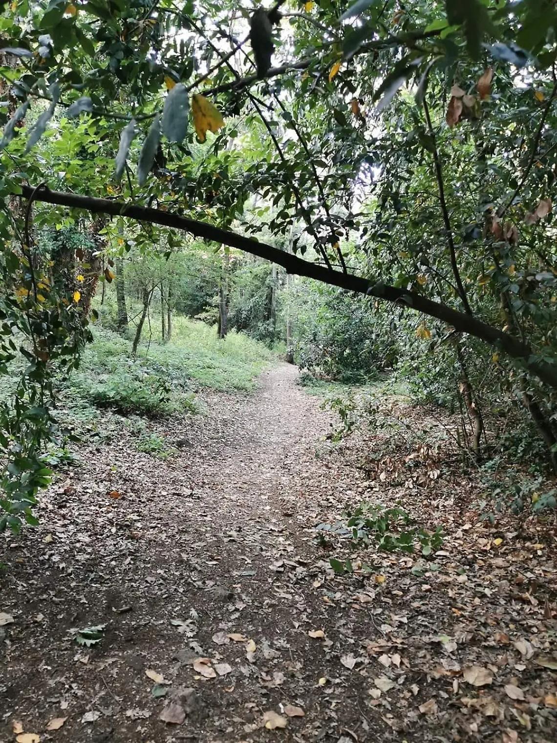 Taglio del nastro a Valcanneto per il &ldquo;Sentiero dei diritti&rdquo;