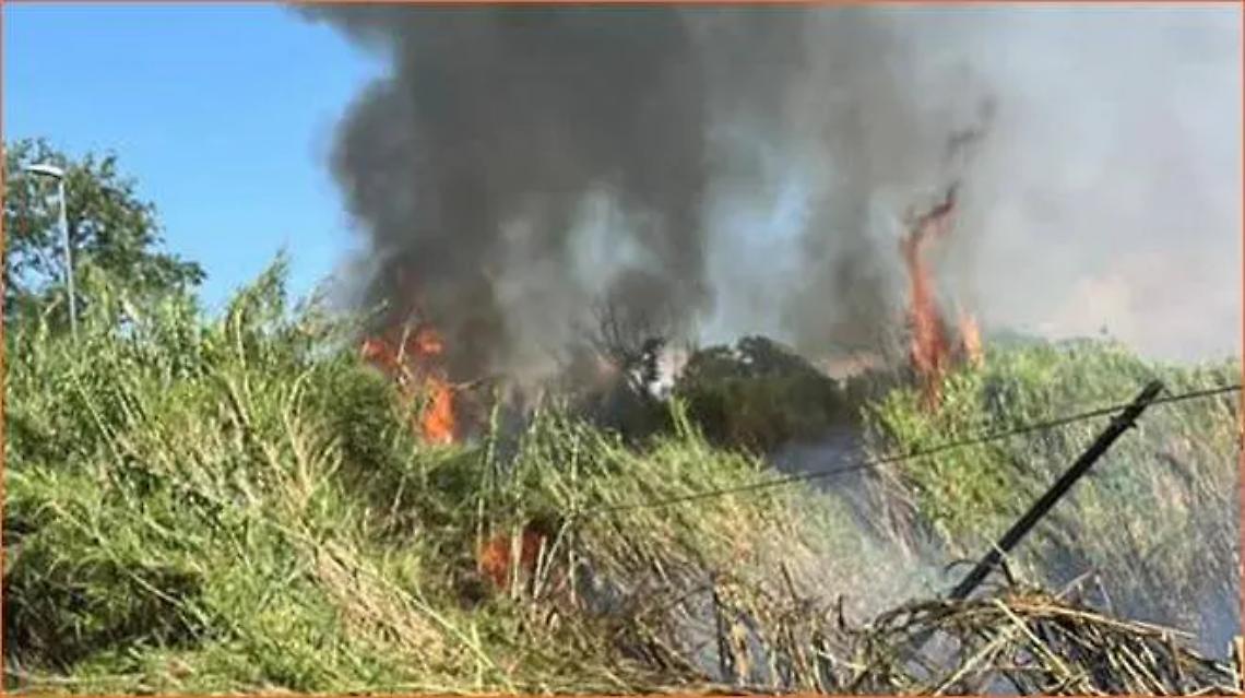 Rischio incendi boschivi: scattano i divieti