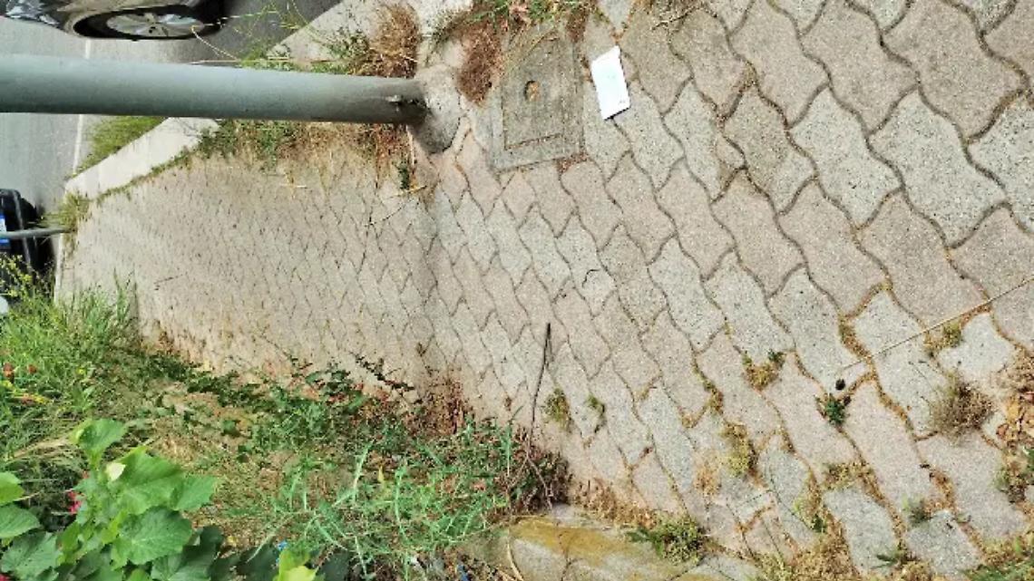 Allarme degrado in via Berlinguer