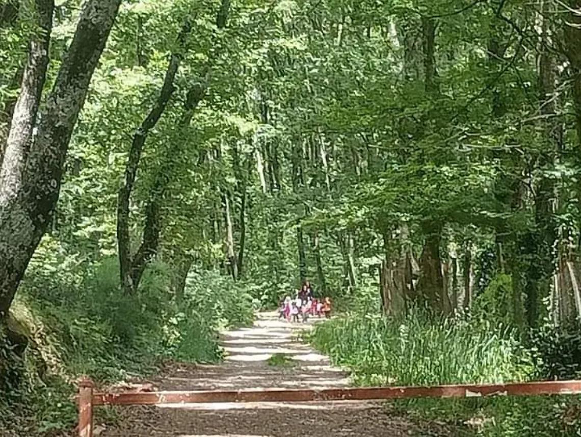 Imparare dalla natura, con il summer camp tante attivit&agrave; per i bambini dai 2 agli 8 anni