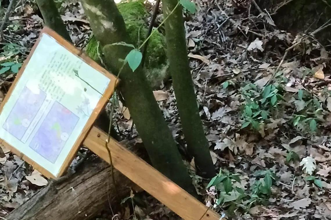 Vandali distruggono gli arredi dei bambini