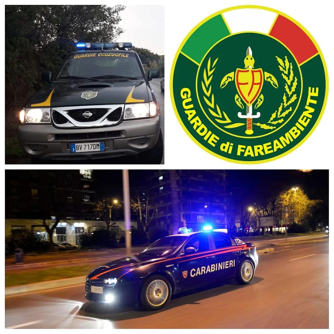 &laquo;Offese e minacce, poi le &ldquo;sequestra&rdquo; il cane&raquo;