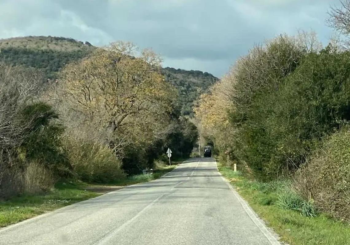 Tolfa-Santa Severa Nord: strada dimenticata