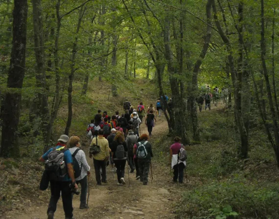 Visita al museo, trekking e pranzo: nuova iniziativa del Gruppo archeologico cerite