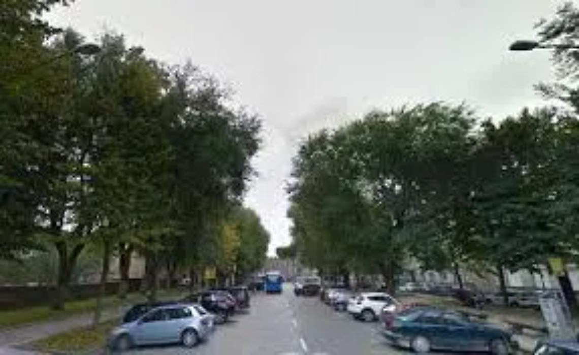 Studenti dell&rsquo;Ellera a viale Trento, commercianti favorevoli