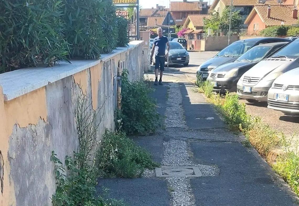 Il degrado aumenta, la giungla invade i marciapiedi della citt&agrave;