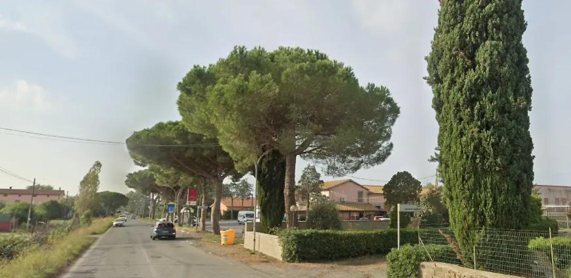 I nidi salvano i pini della Furbara - Sasso