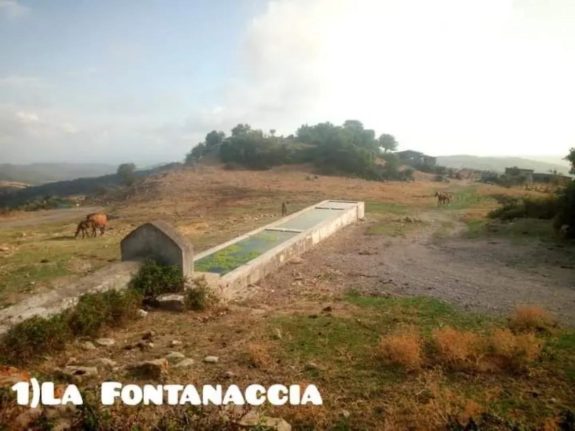 Sabotata la condotta idrica