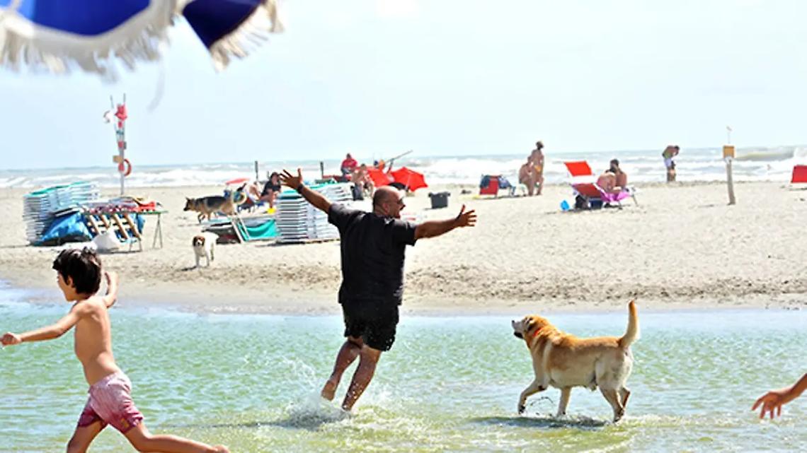 C&rsquo;&egrave; anche la spiaggia per gli amici a quattro zampe: pronta la bau beach messa a disposizione dal Comune
