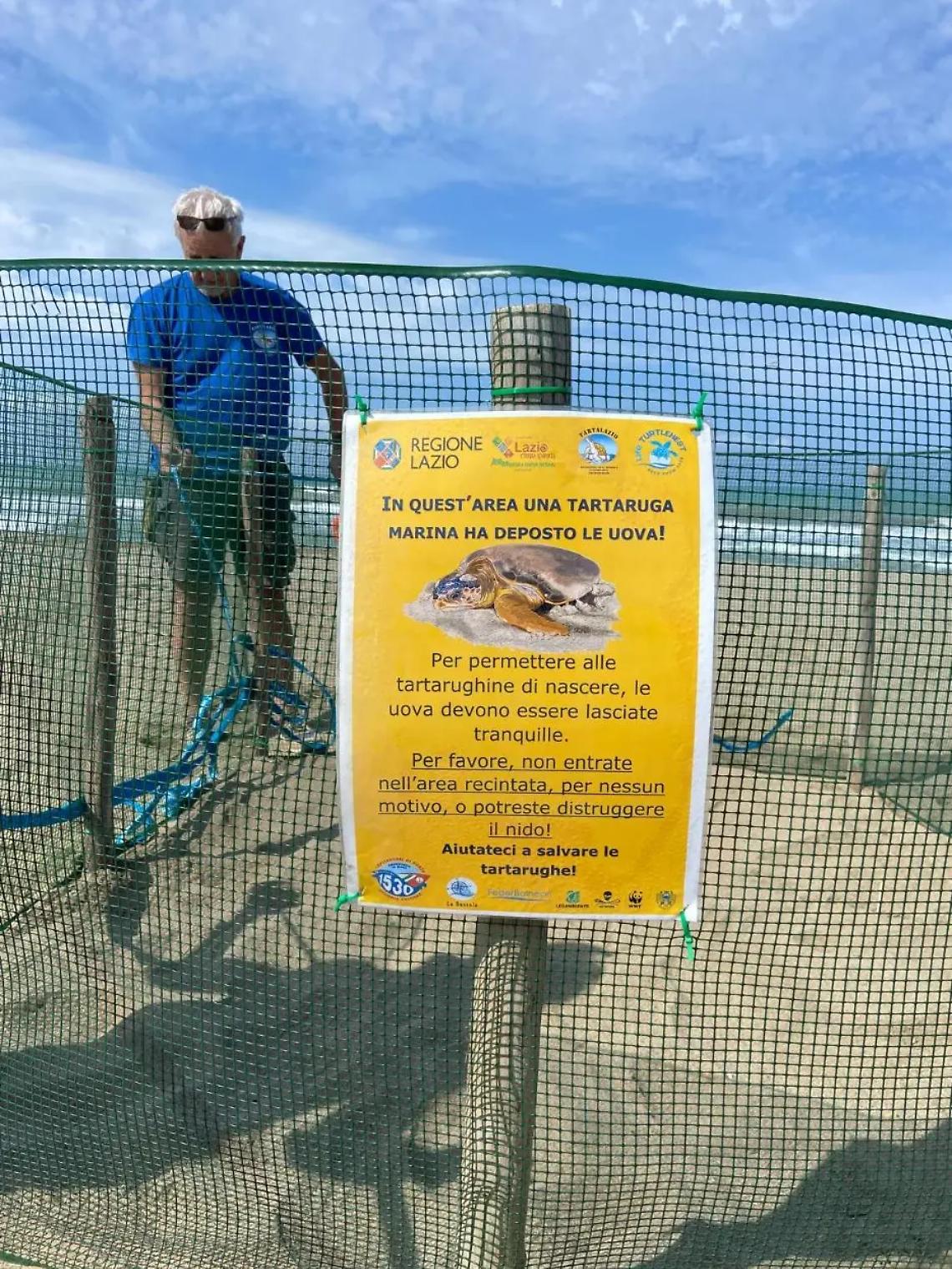 Il nido di tartaruga marina di Sant&rsquo;Agostino sorvegliato speciale da Guardia costiera e Tartalazio VIDEO