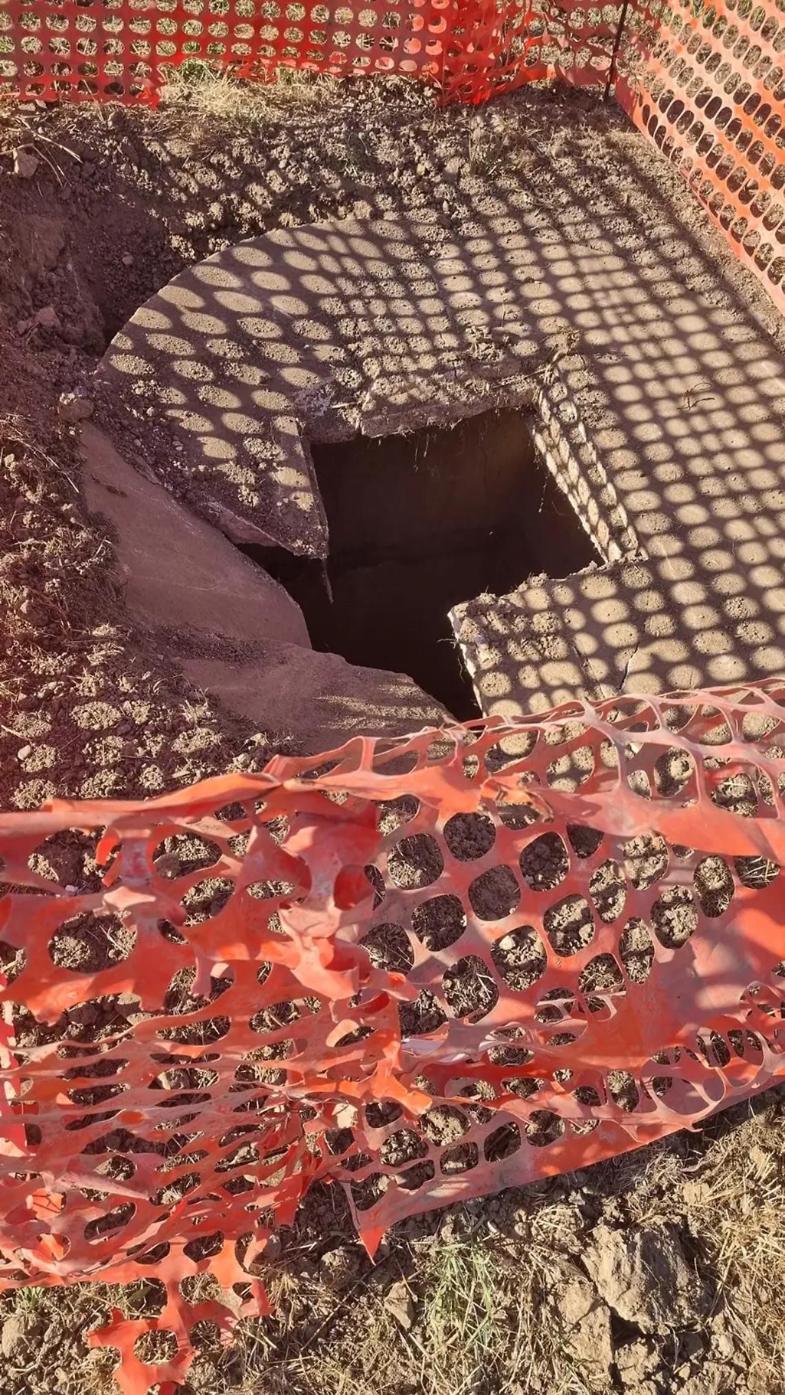 Micio precipita nella fogna aperta: la denuncia