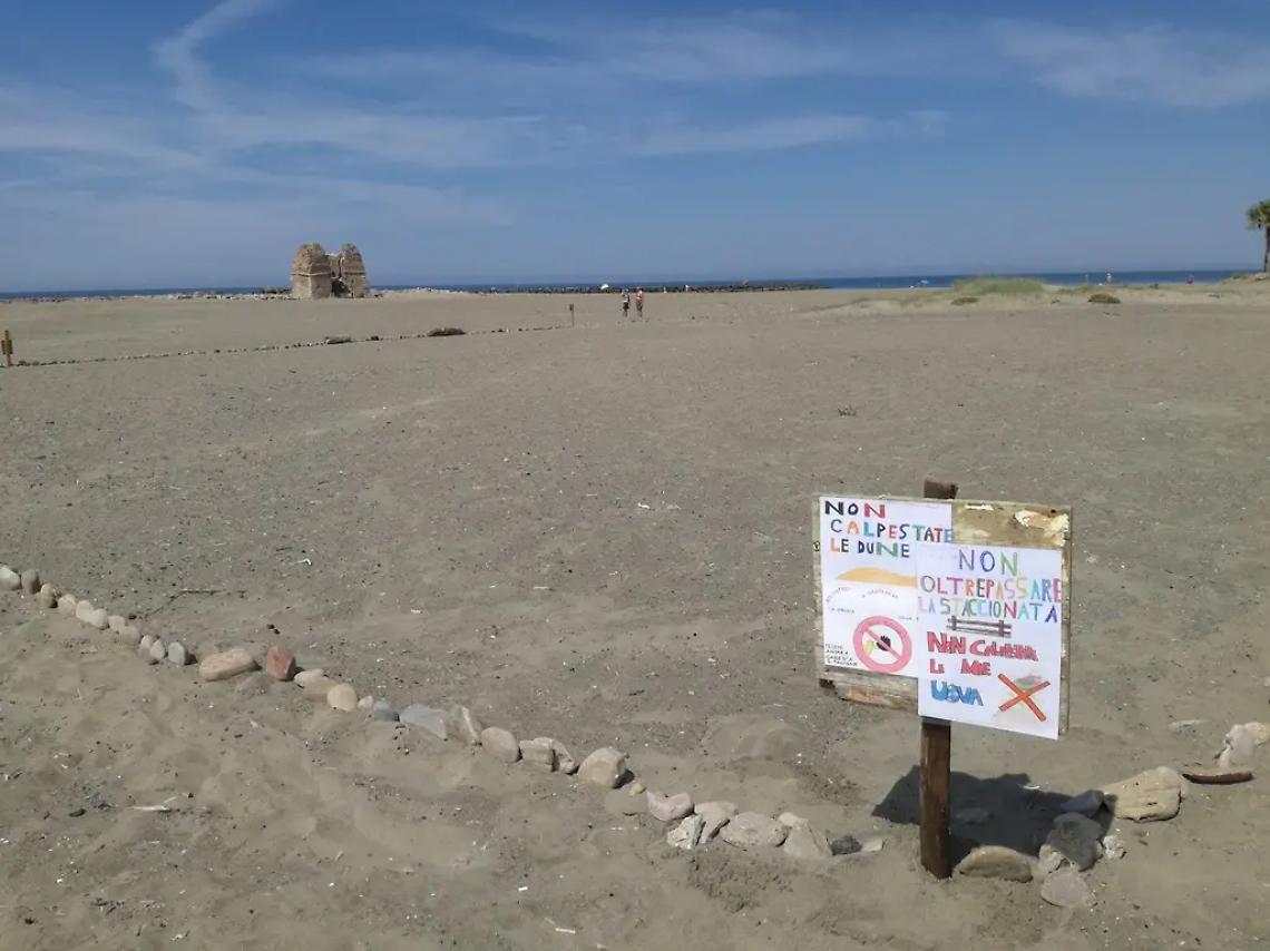 &laquo;La musica blocca la nascita dei fratini&raquo;