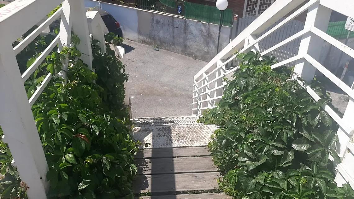 &laquo;Il ponte di via del Ghirlandaio trasformato in una giungla&raquo;