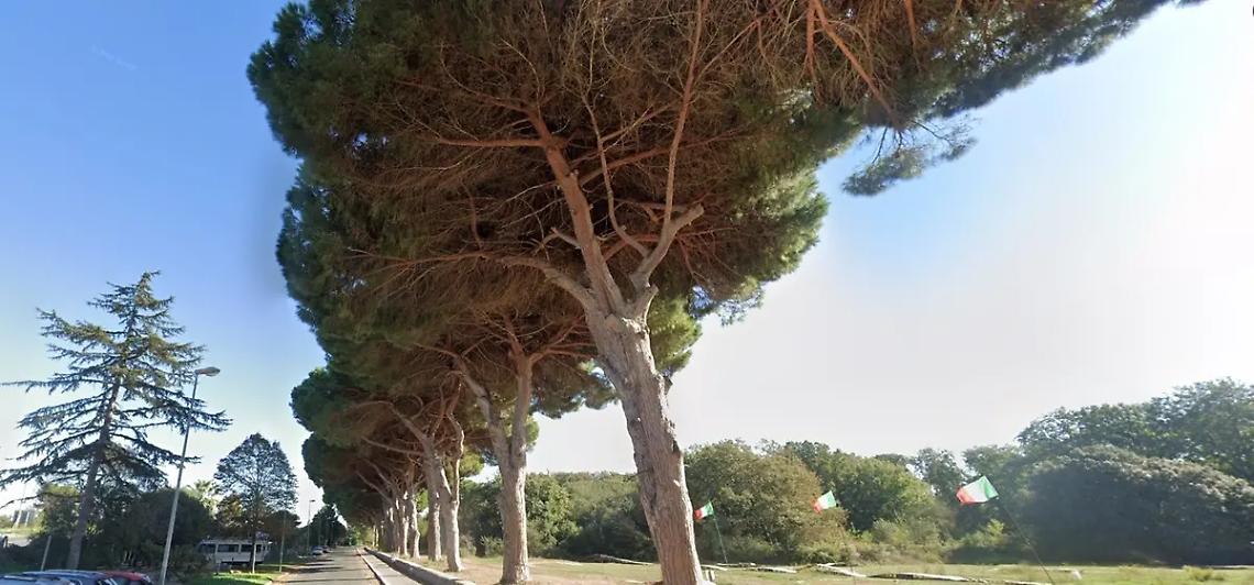 &laquo;Patrimonio naturalistico a rischio&raquo;