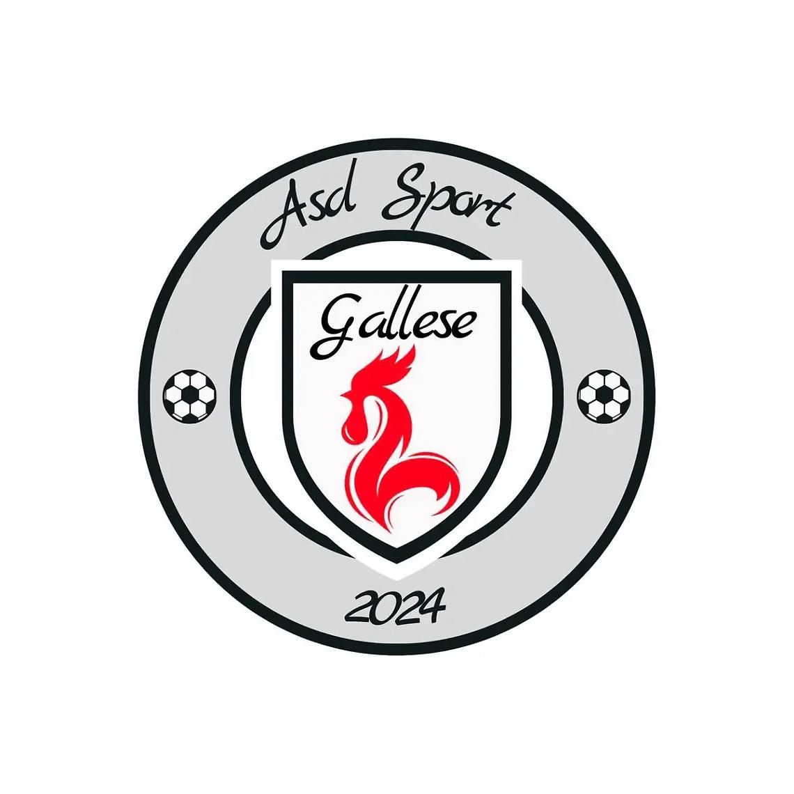 Si torna a giocare a Gallese grazie alla nascita dell&rsquo;Asd Sport Gallese