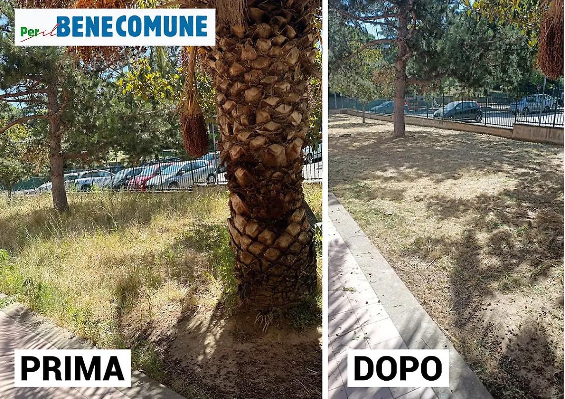 Decoro urbano, Ciambella bacchetta la sindaca