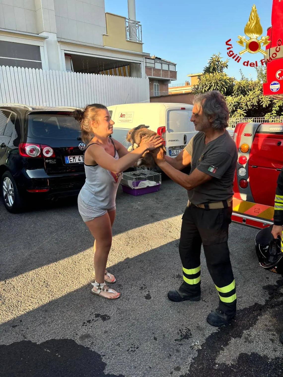 Santa Marinella, incendio in un appartamento di via delle Colonie: salvato coniglietto