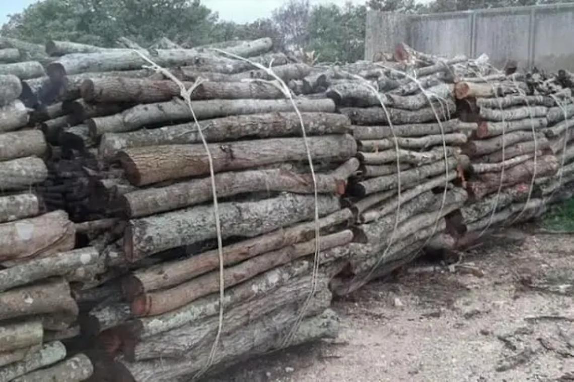 Legna da ardere, Riglietti: &laquo;Aperto il bando estivo&raquo;