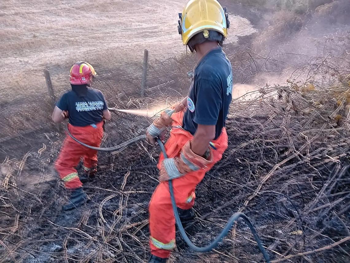 Incendi sull&rsquo;Aurelia: interventi di Vigili del fuoco e Aeopc