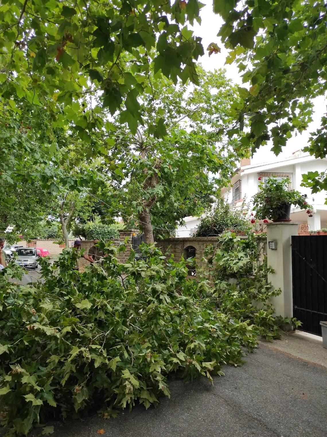 Operazione pulizia a Santa Severa