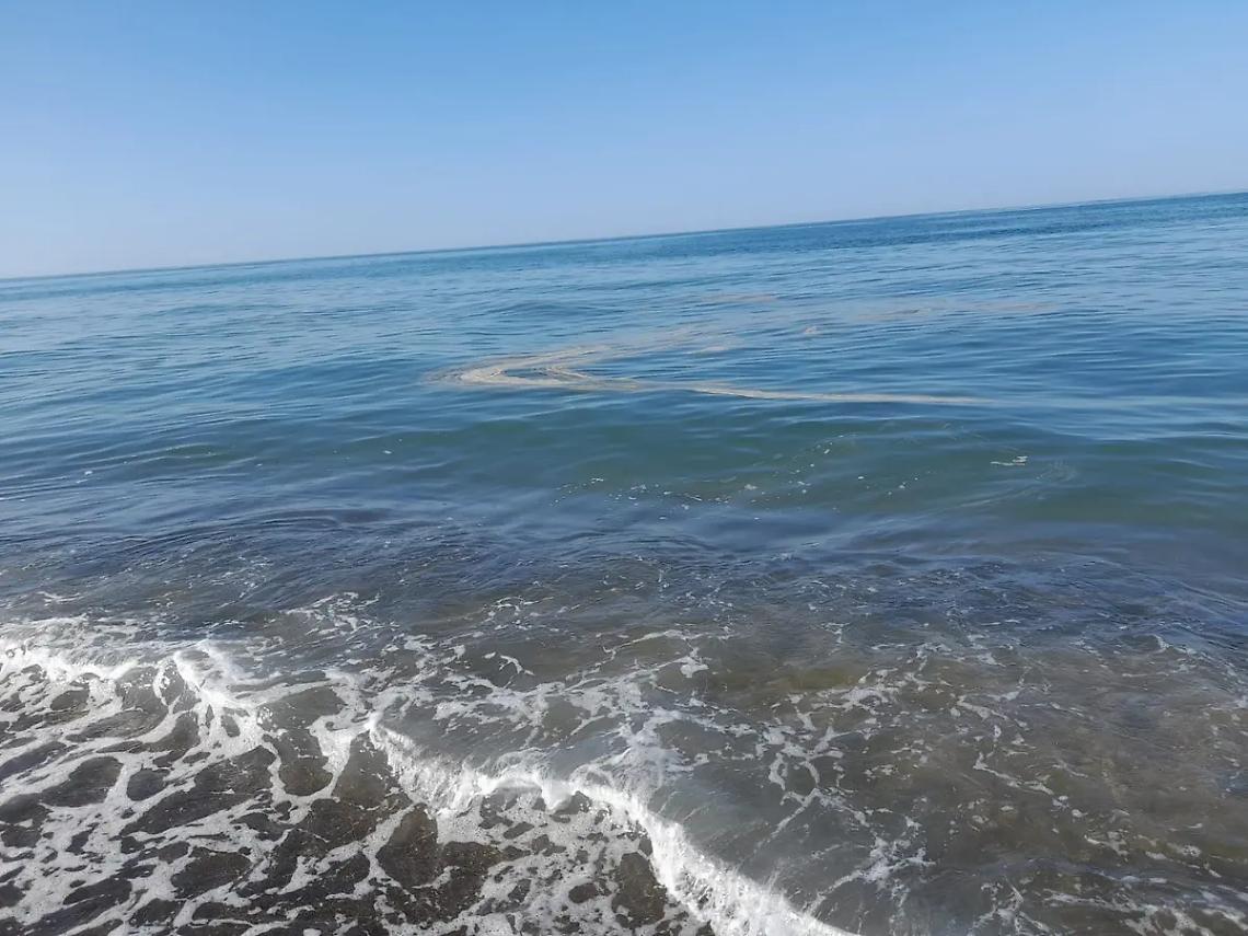 Chiazze a mare: bagnanti preoccupati