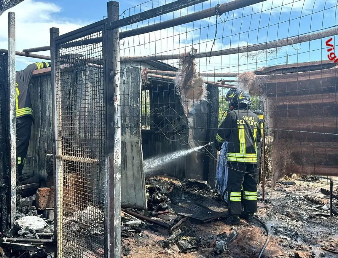 Incendio in via Antonio Baldini: muore un cane pastore maremmano