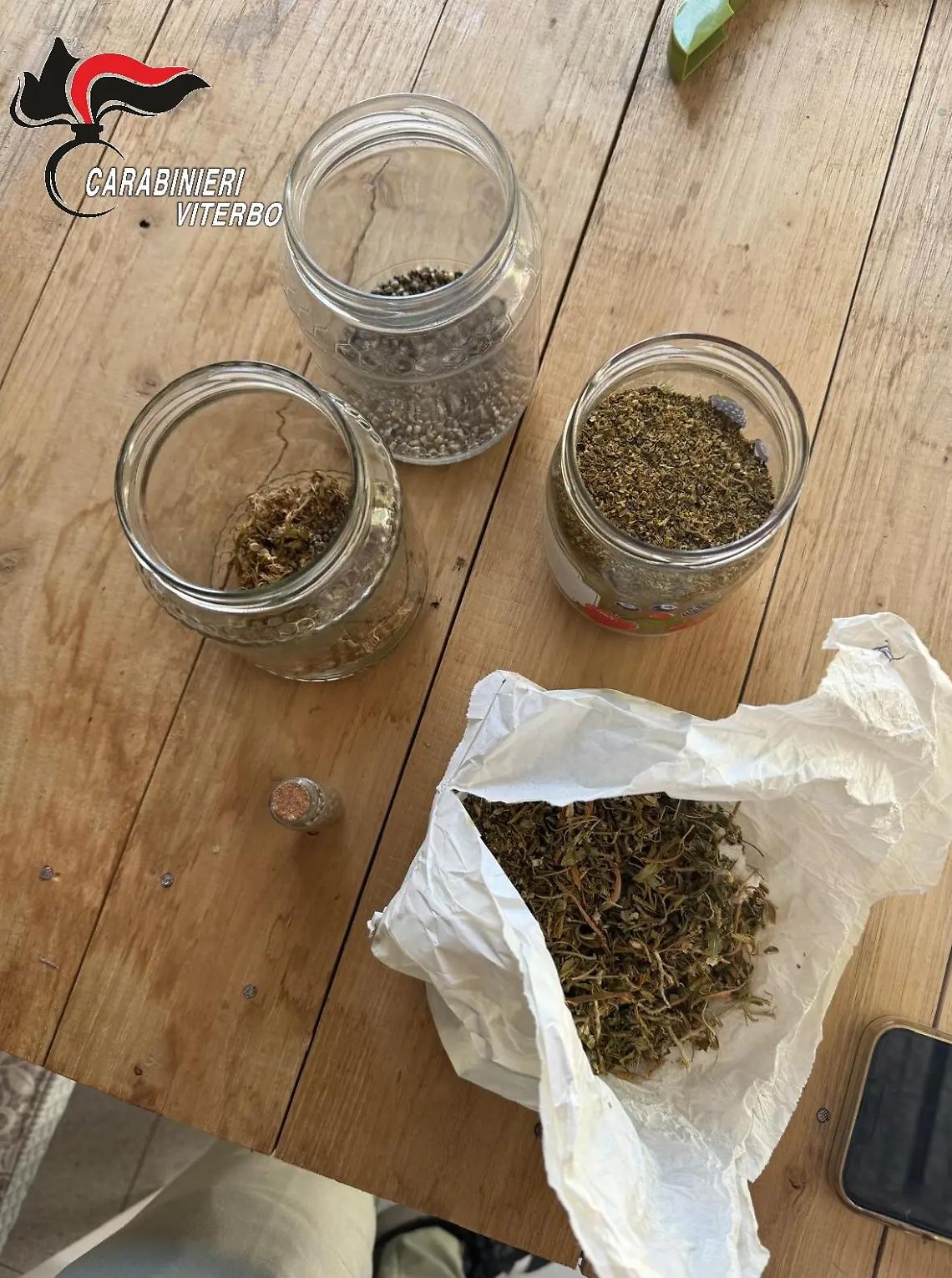 Soriano nel Cimino: cercano un cane aggressivo e trovano marijuana