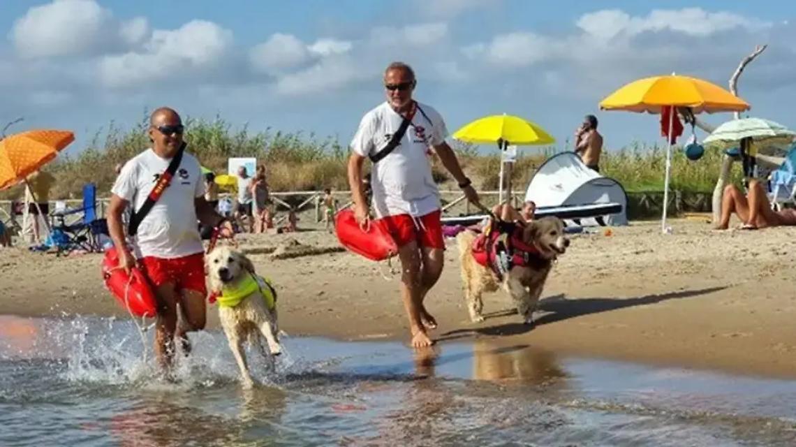 Fregene, Marevivo e la &ldquo;Scuola italiana cani salvataggio&rdquo; insieme contro il littering