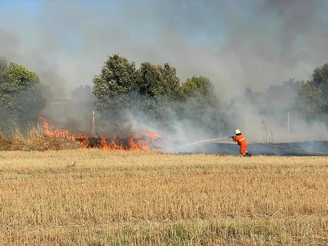 Vasto incendio al parco archeologico di Vulci. Fiamme anche ai Piani degli Alpaca a Tarquinia
