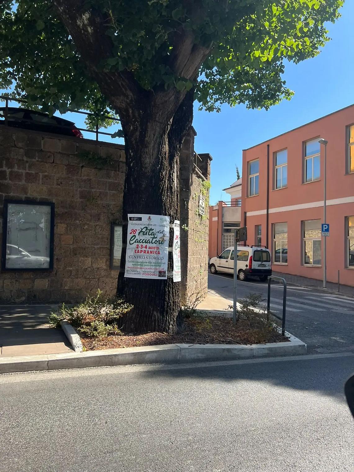 &laquo;Manifesti sugli alberi, uno scempio&raquo;