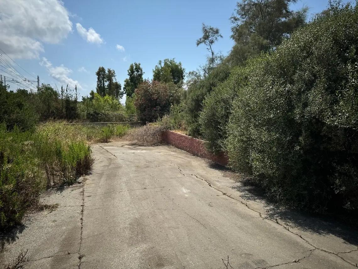 Ripulita via di Torrevaldaliga sud, i ringraziamenti di Civitavecchia 2000