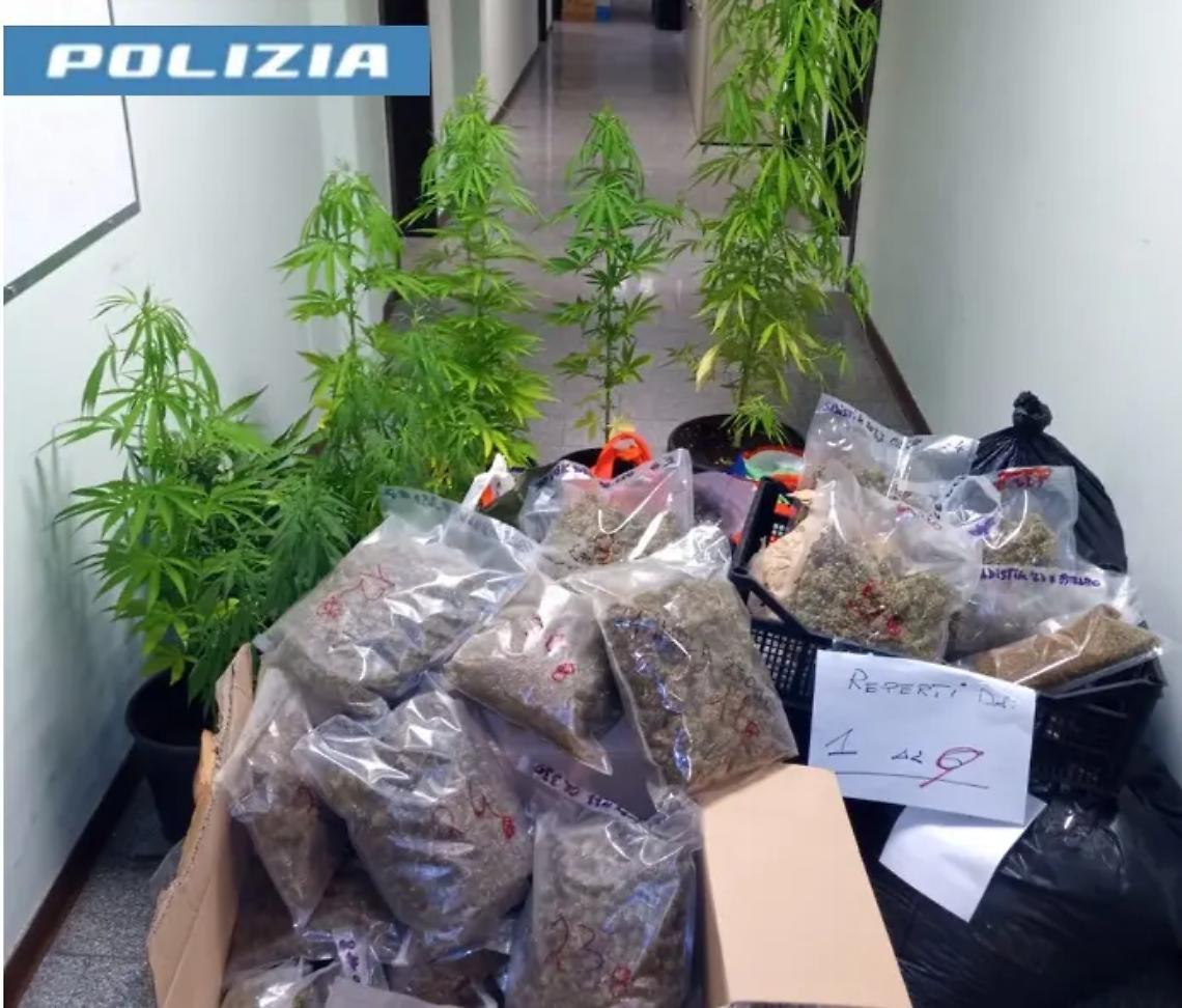 Viterbo: aveva in casa 39 chili di marijuana, arrestato un 49enne