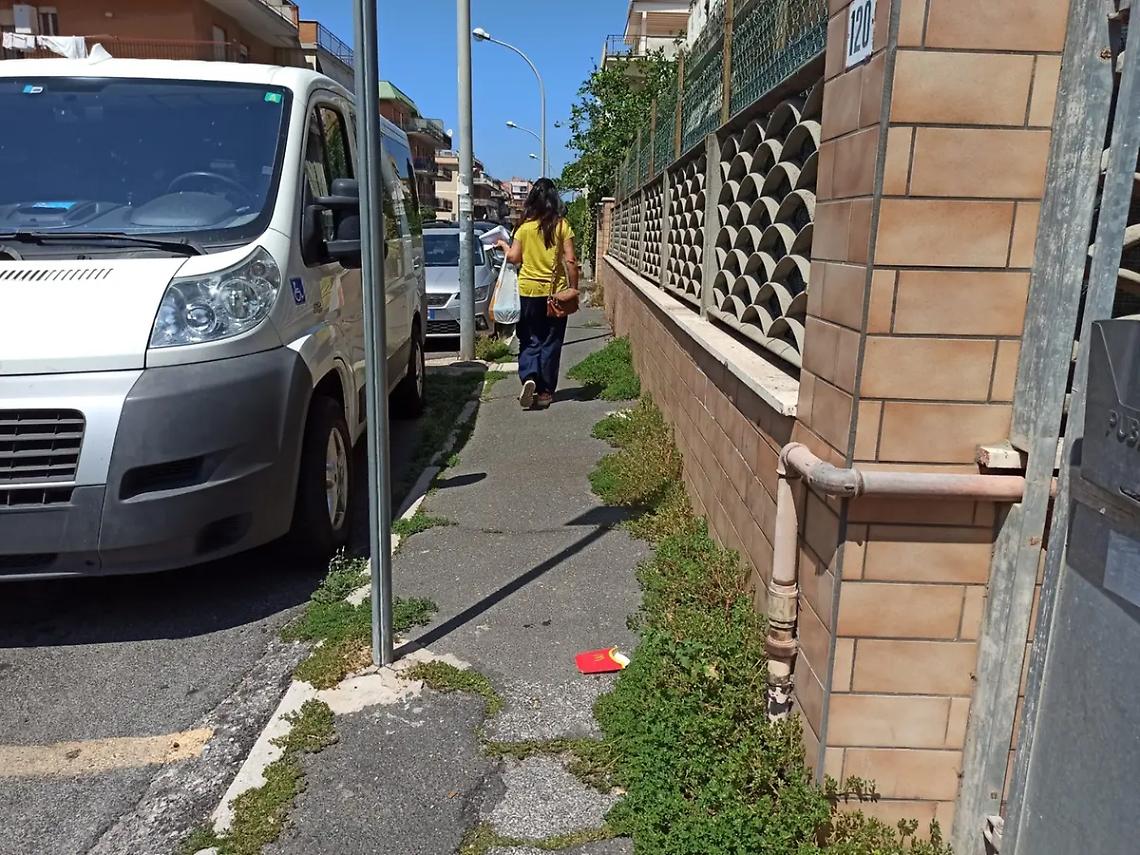 &laquo;Citt&agrave; trasformata in una vera e propria giungla&raquo;