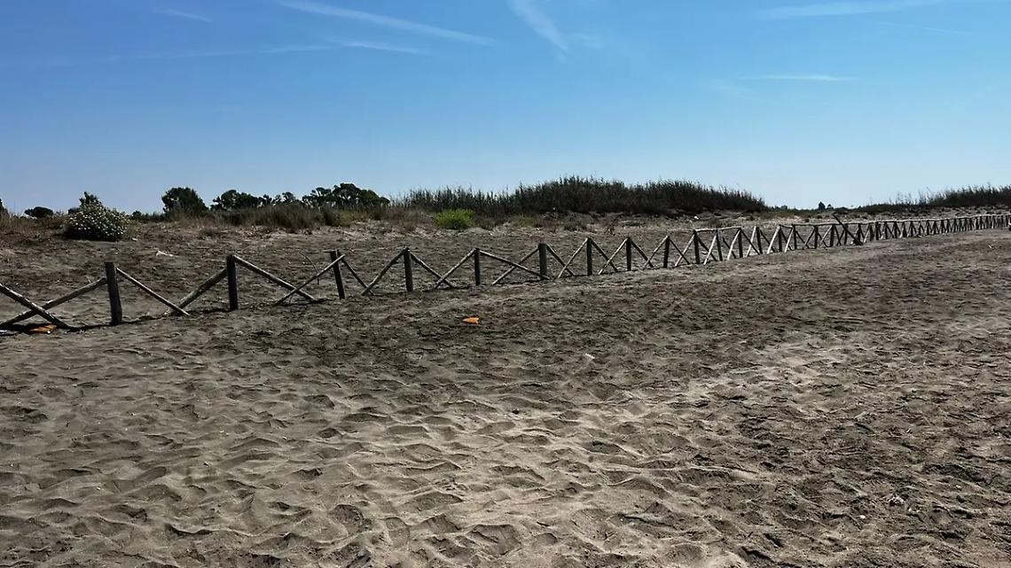 San Lorenzo, la notte dei vandali &ndash; GALLERY