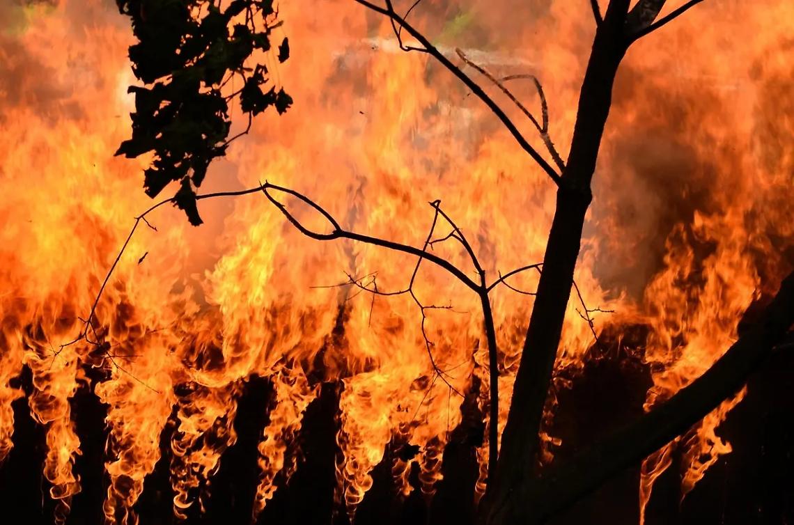 &laquo;Siate i nostri occhi e le nostre orecchie contro i piromani&raquo;