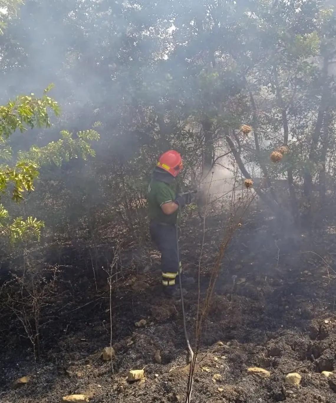 Incendio a Ferragosto, bruciati cento ettari tra bosco e sterpaglie