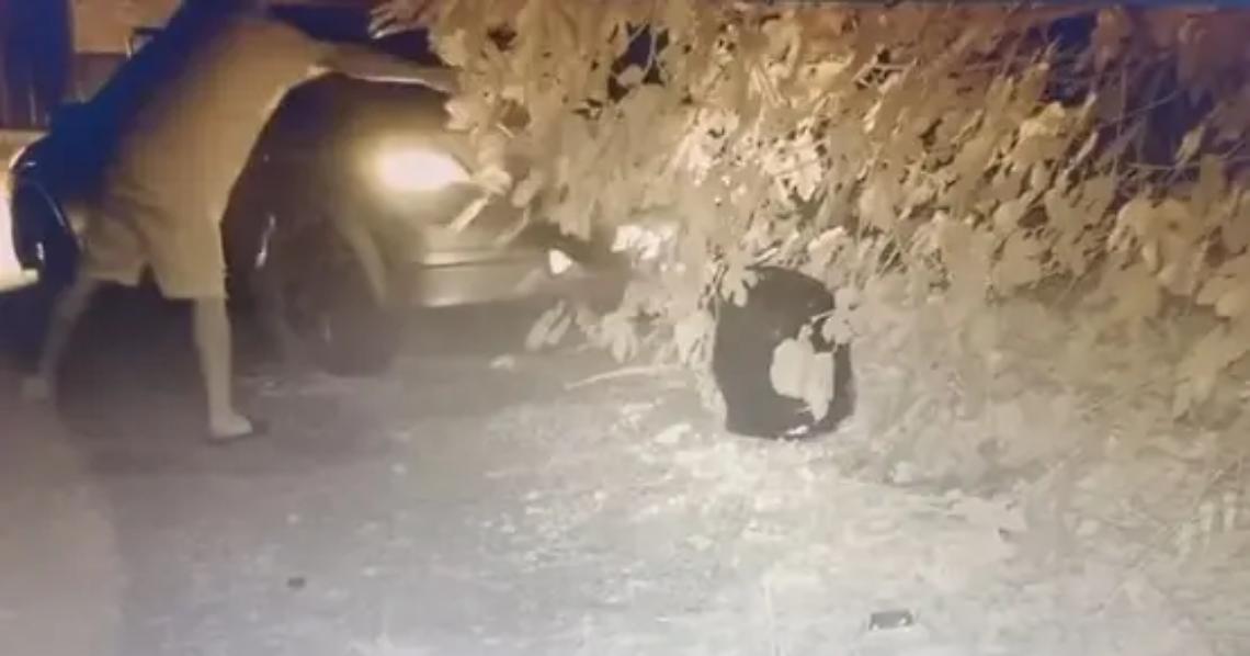 Abbandona due sacchi di rifiuti, incastrato dalla fototrappola