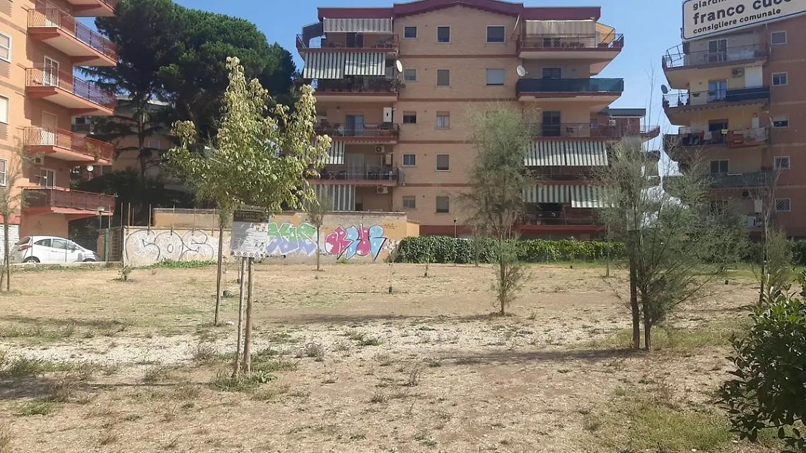 Gli alberi &ldquo;vivi&rdquo; grazie ai volontari