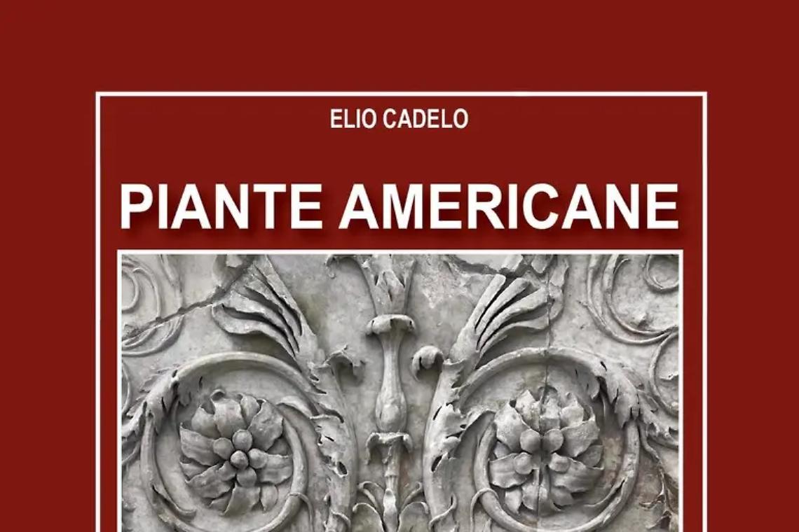 &ldquo;Piante americane nella Roma imperiale&rdquo;, se ne parla al castello di Santa Severa