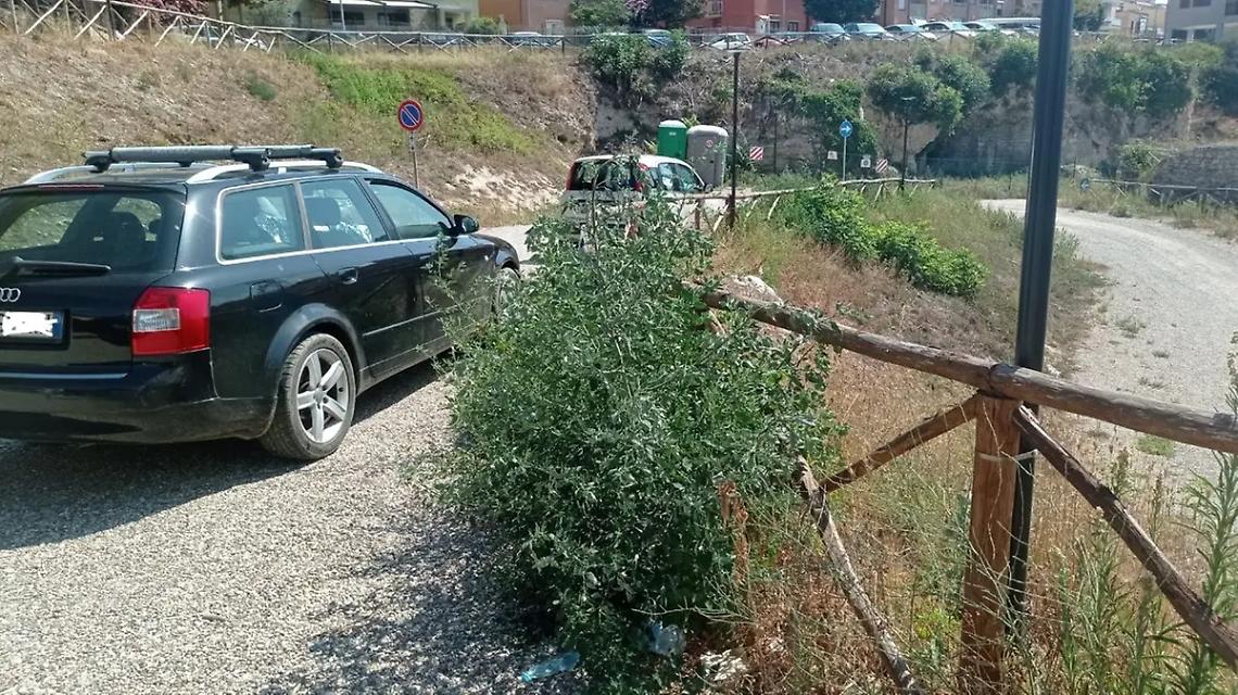 Degrado nel parcheggio di via Sacconi