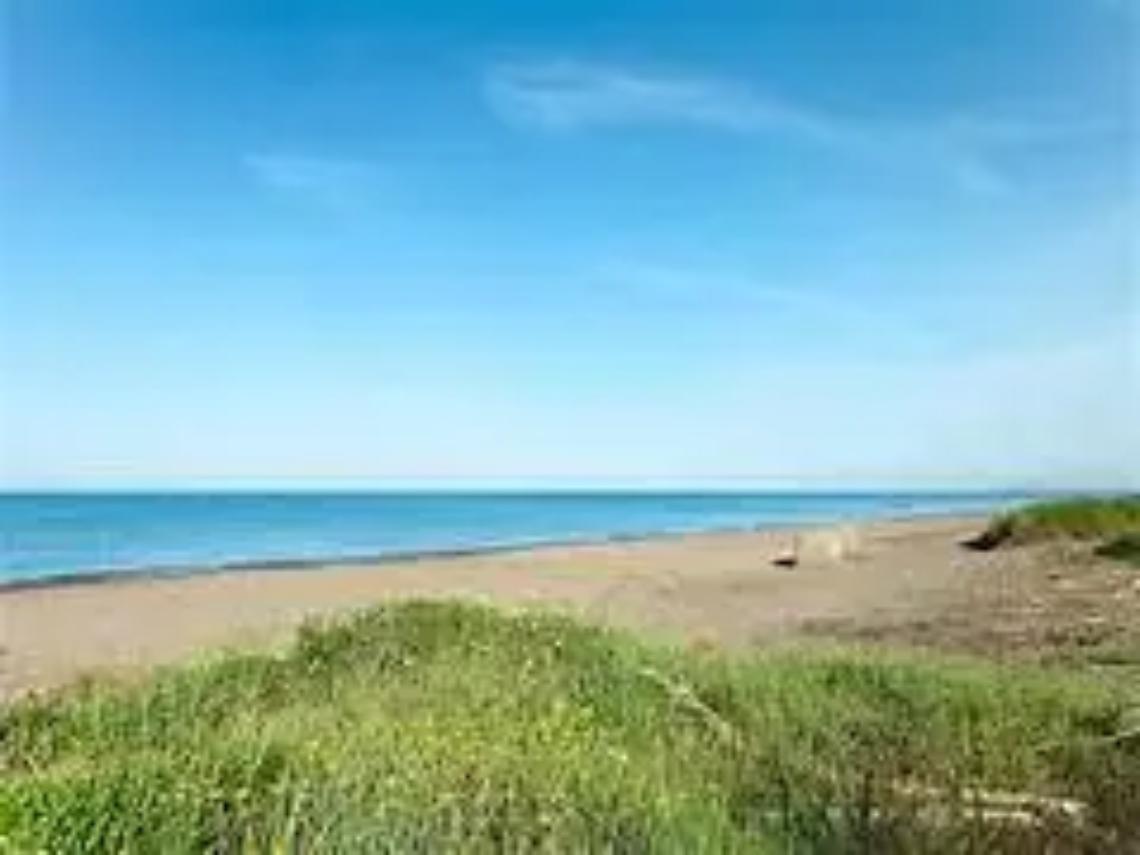 Rifiuti abbandonati di fronte al Poligono militare: il Codacons diffida il Comune di Tarquinia