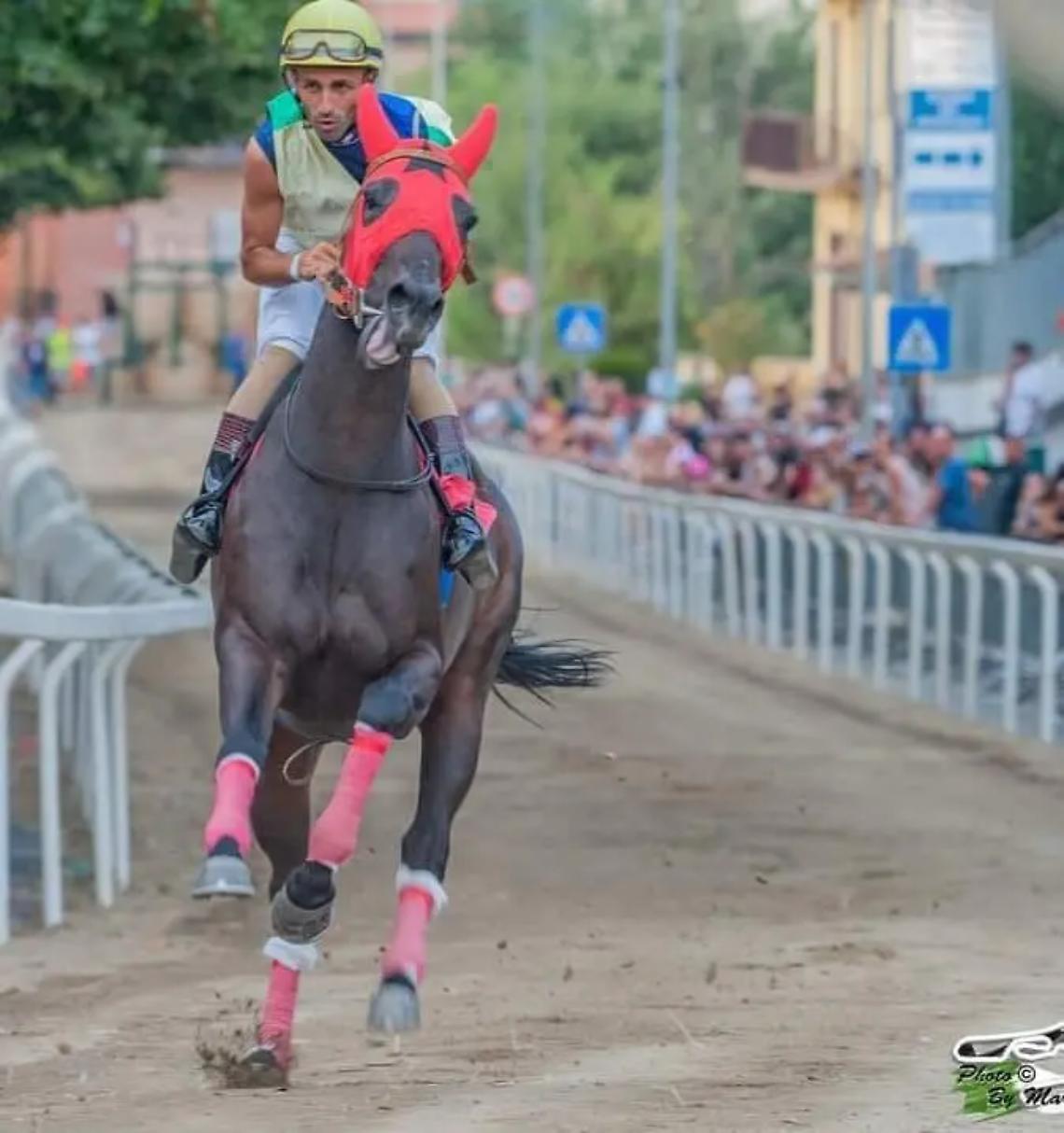 Il fantino di Cerveteri Gianluca Cecaloni vince il Palio dell&rsquo;Assunta di Morlupo