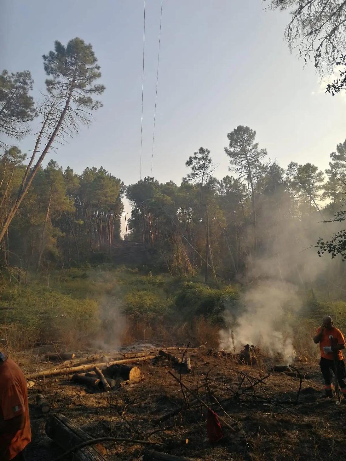Acquapendente: incendio nel parco di Monte Rufeno