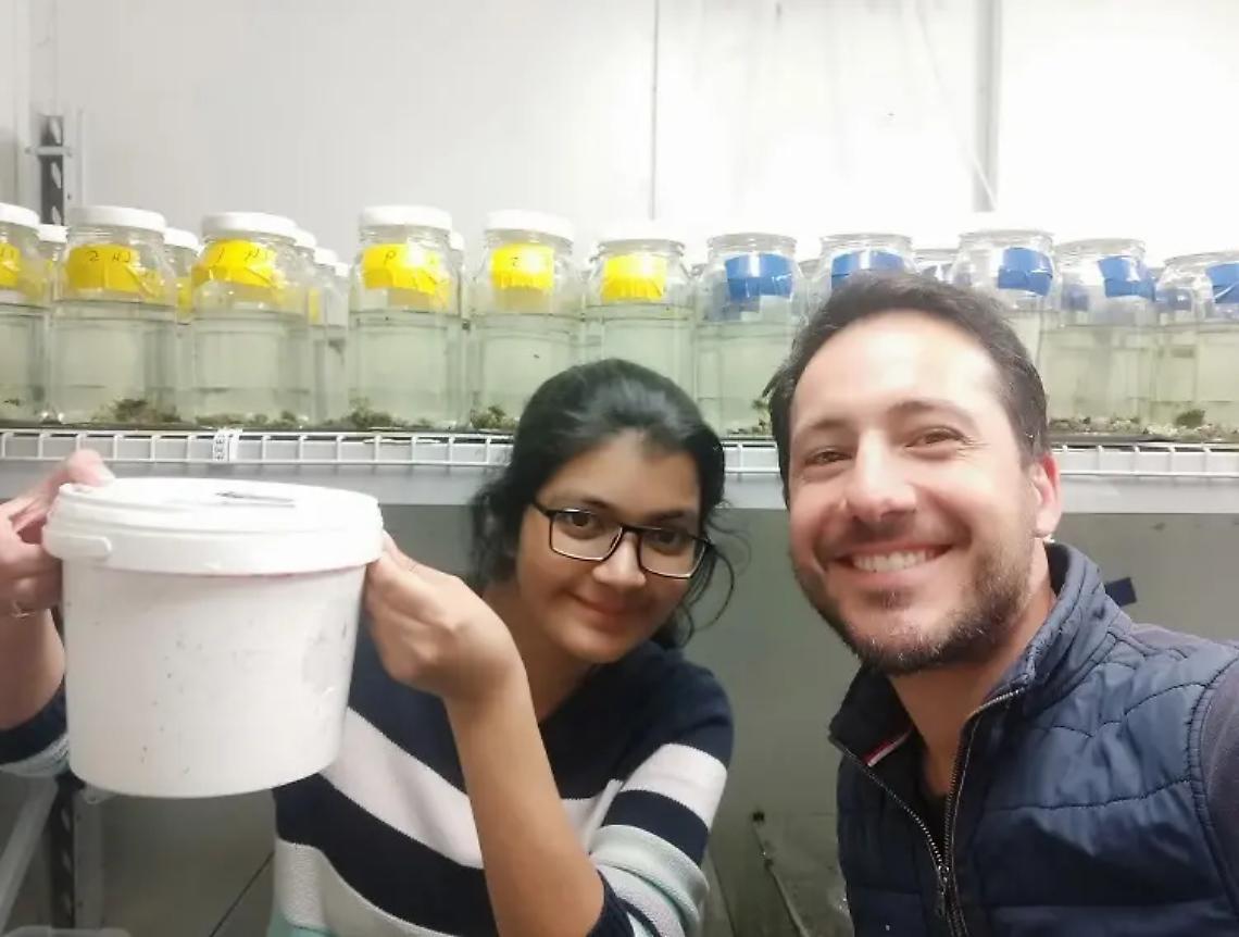 &laquo;L&rsquo;inquinamento da antidepressivi compromette il comportamento dei pesci&raquo;