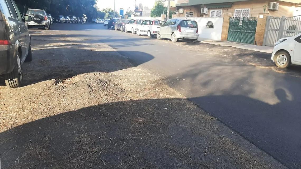 &laquo;Stop al nuovo piano del traffico&raquo;