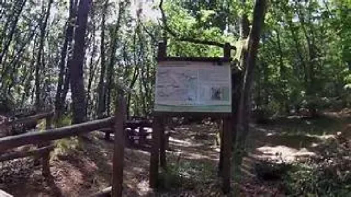 Nel faggeto nuovi cartelli grazie alla sinergia scuola &ndash; territorio