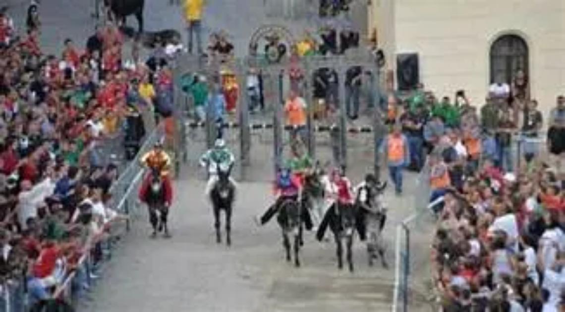 Allumiere, asini in corsa per rinnovare la tradizione