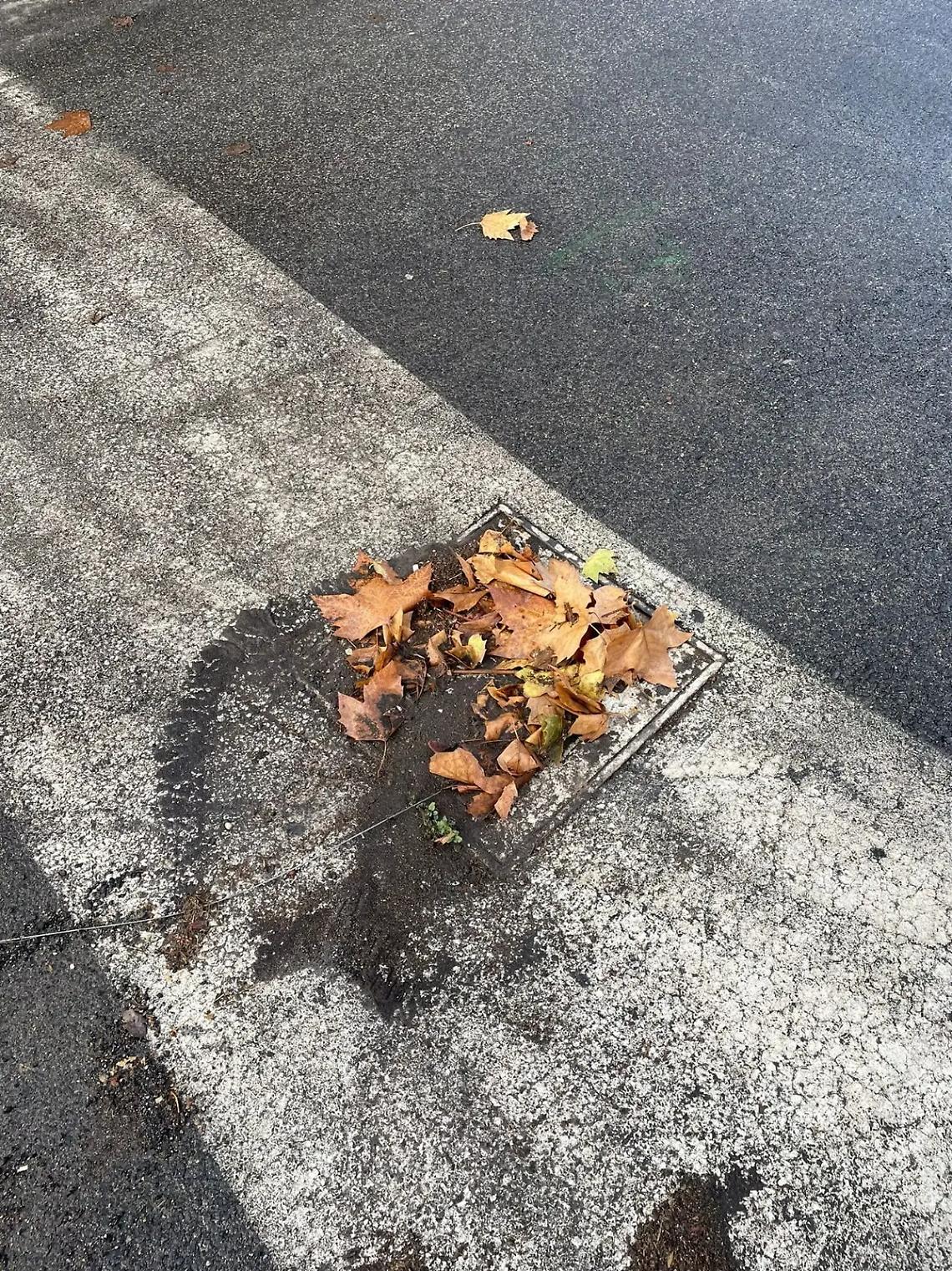 &laquo;L&rsquo;amministrazione intervenga su canali di scolo e caditoie&raquo;