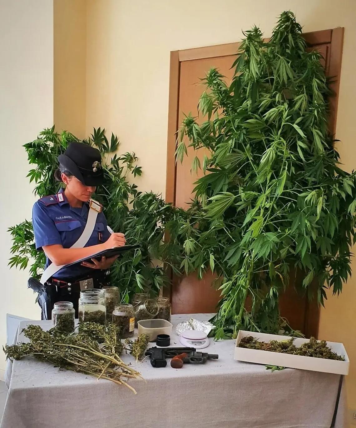 Allestisce in casa un laboratorio per la droga, arrestato 40enne