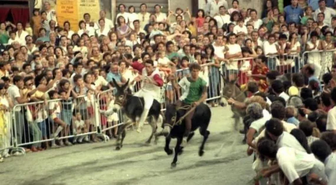&laquo;Palio, quell&rsquo;edizione memorabile del 1982&raquo;